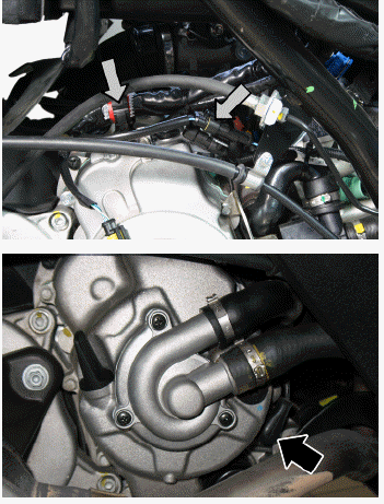 Engine from vehicle