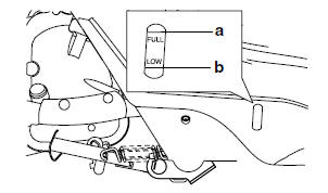 Checking the coolant level