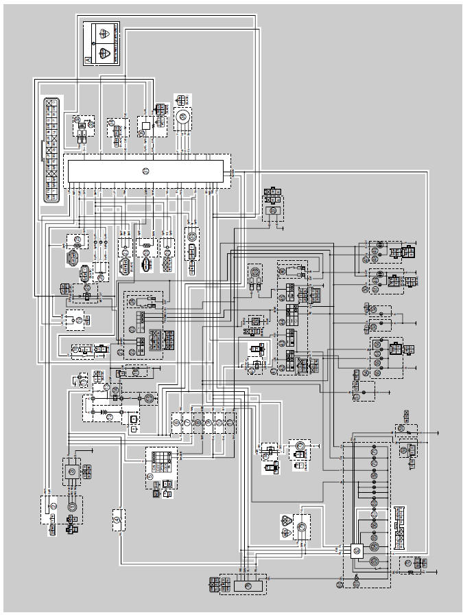 Fuel injection system